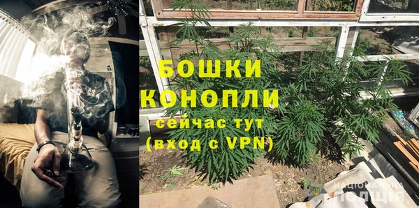 ГАЛЛЮЦИНОГЕННЫЕ ГРИБЫ Абаза