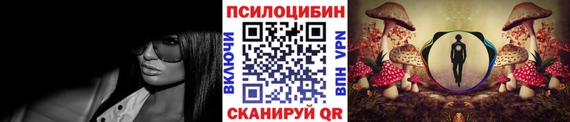 KRAKEN онион Горбатов Псилоцибиновые грибы Cubensis